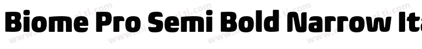 Biome Pro Semi Bold Narrow Itali字体转换